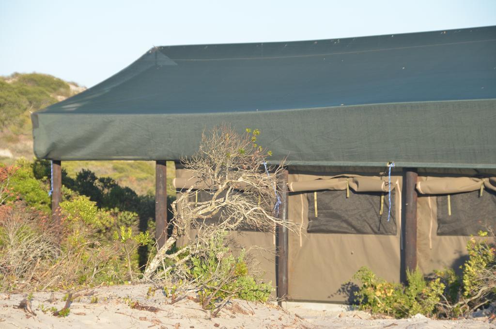 West Coast Luxury Tents Dwarskersbos Exterior photo